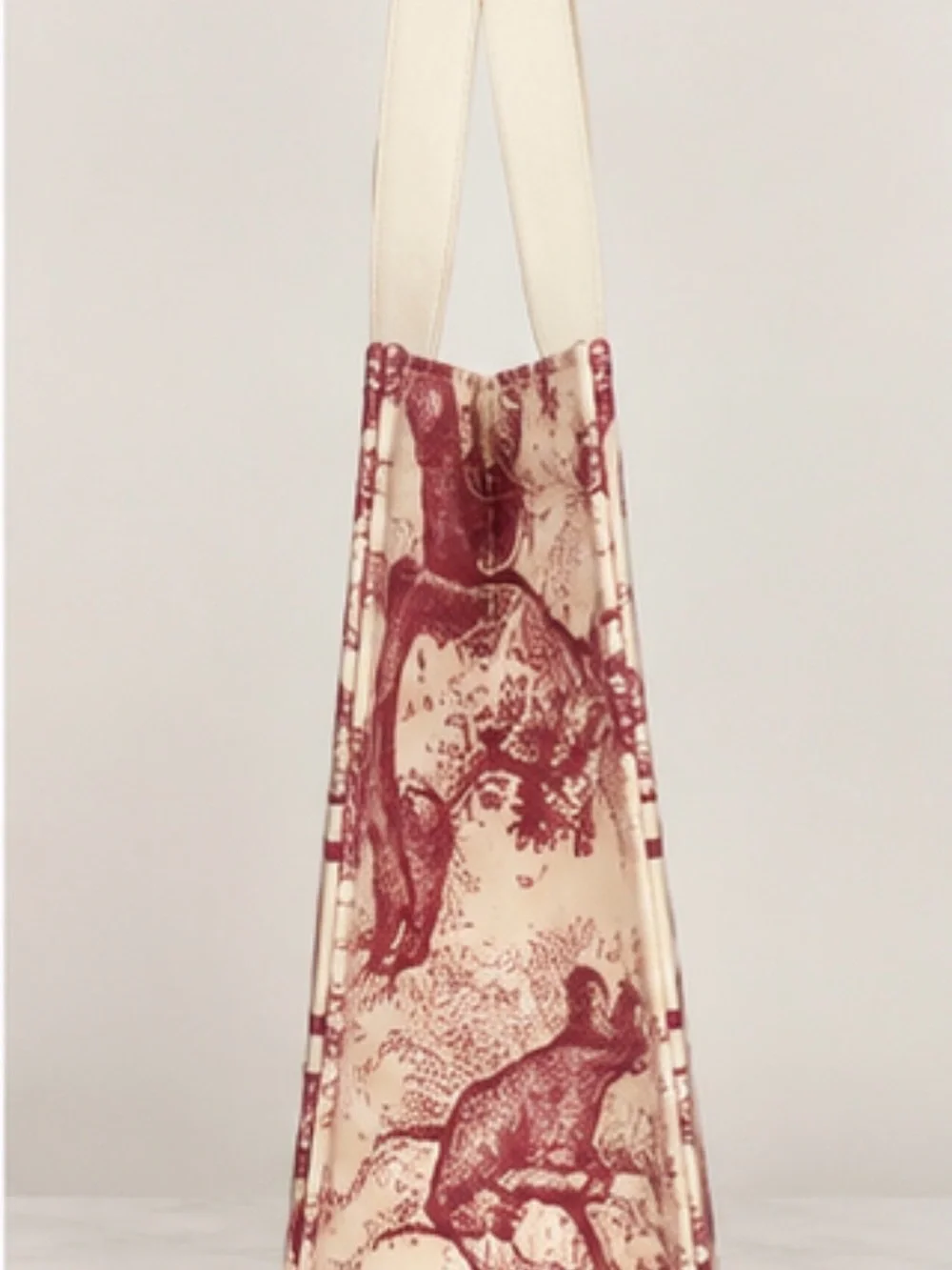 NWT Authentic Dior Beauty DIORIVIERA Toile de Jouy Promotional Tote
